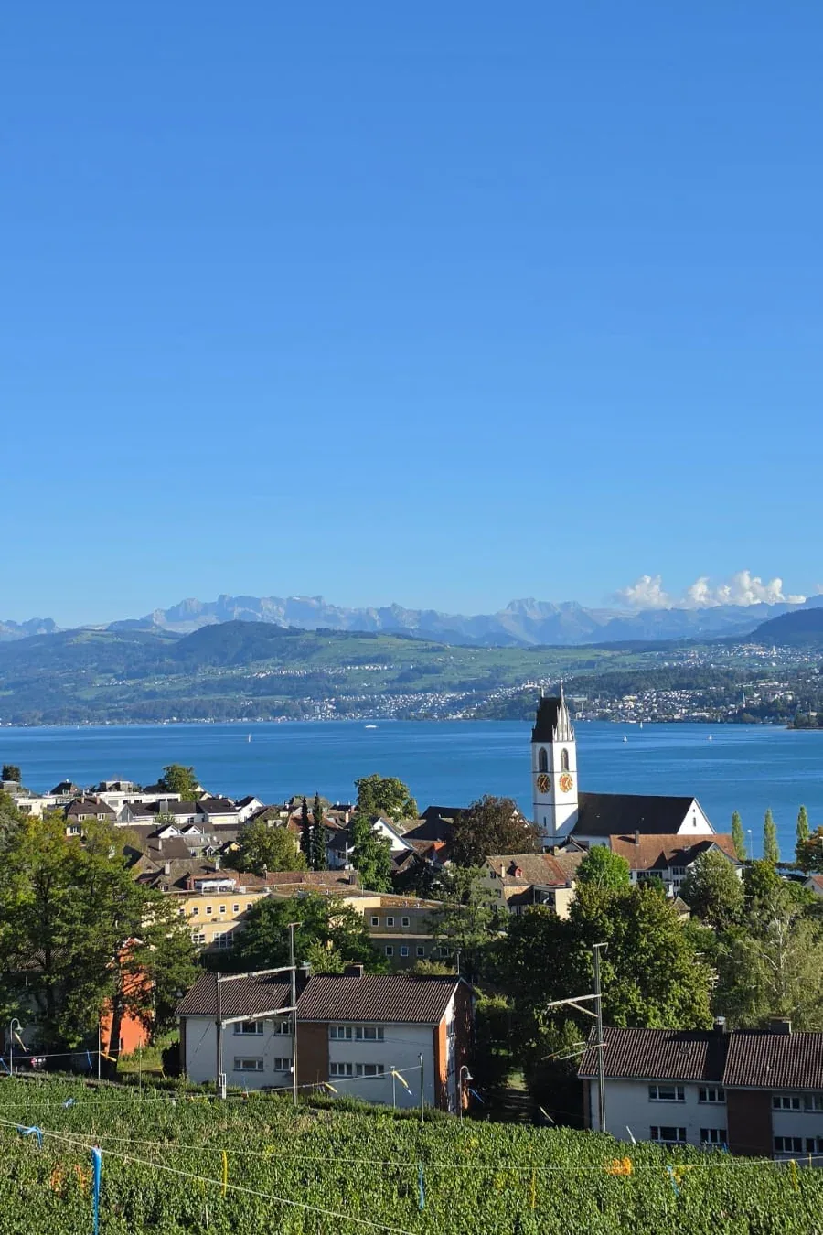 Meilen am Zürichsee mit Kirchturm, Rebbergen und Alpenpanorama